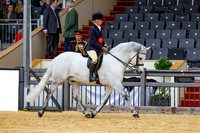 Royal Windsor Horse Show