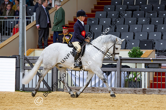 Royal Windsor Horse Show