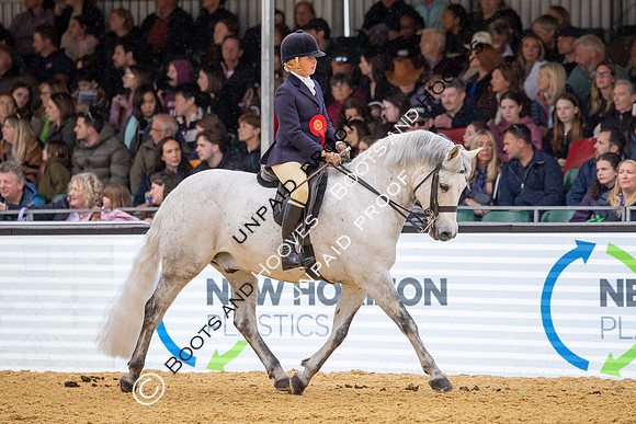 Royal Windsor Horse Show