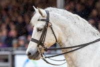 Royal Windsor Horse Show