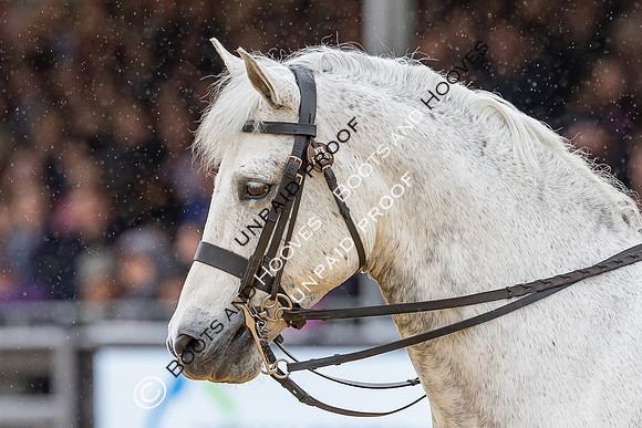 Royal Windsor Horse Show