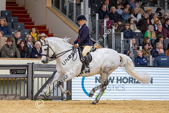 Royal Windsor Horse Show