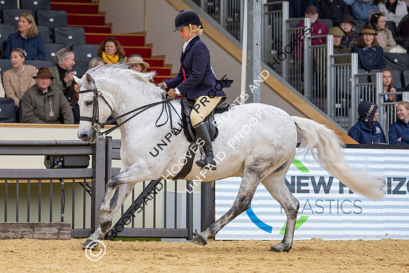 Royal Windsor Horse Show