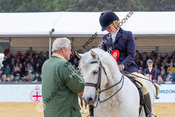 Royal Windsor Horse Show