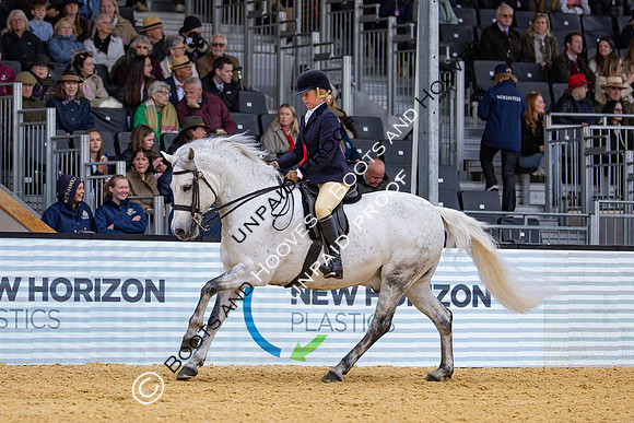 Royal Windsor Horse Show