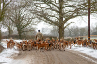 Hound Exercise
