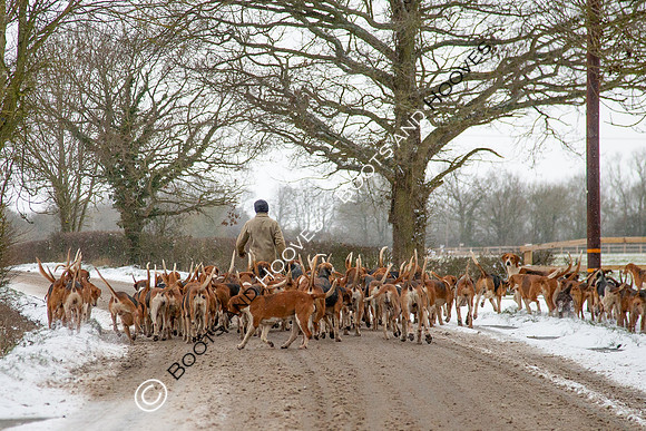 Hound Exercise