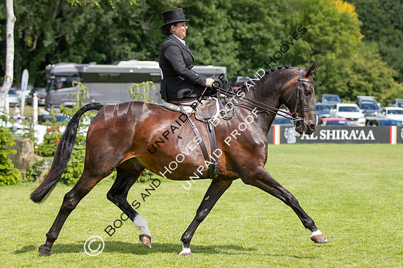 The Al Shira'aa Hickstead Derby Meeting