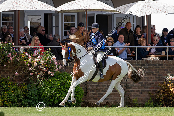 The Al Shira'aa Hickstead Derby Meeting