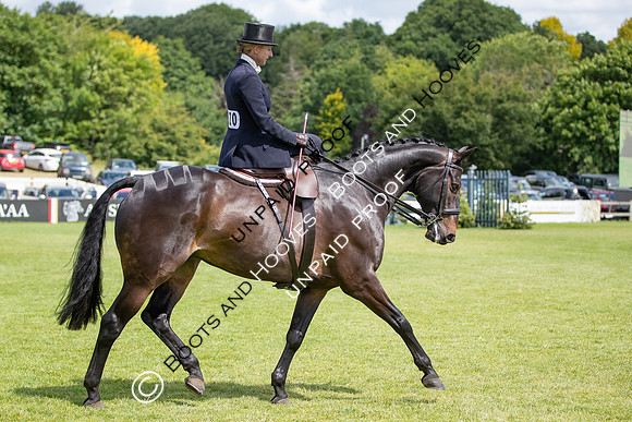 The Al Shira'aa Hickstead Derby Meeting