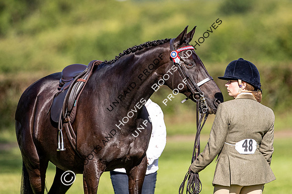 The Al Shira'aa Hickstead Derby Meeting