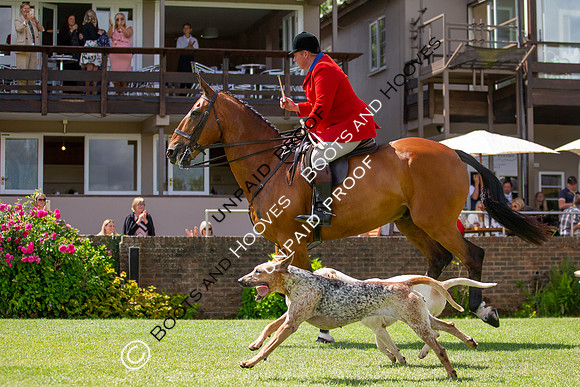 The Al Shira'aa Hickstead Derby Meeting