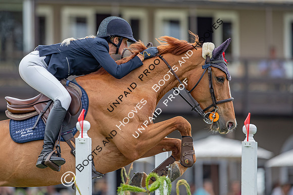 The Al Shira'aa Hickstead Derby Meeting
