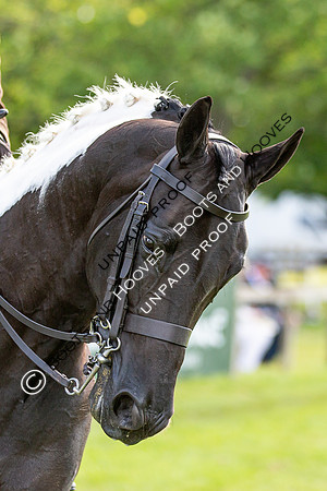 The Al Shira'aa Hickstead Derby Meeting