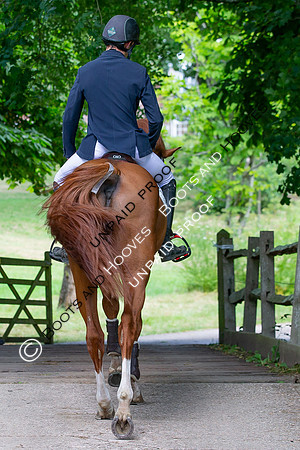 The Al Shira'aa Hickstead Derby Meeting