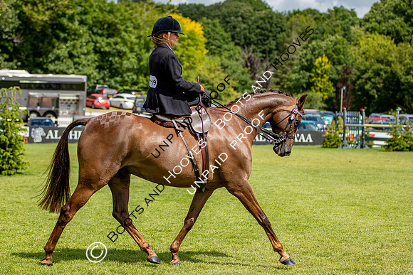 The Al Shira'aa Hickstead Derby Meeting
