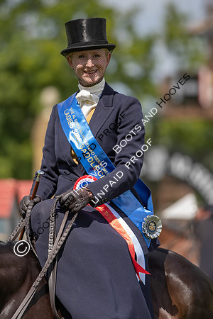 The Al Shira'aa Hickstead Derby Meeting