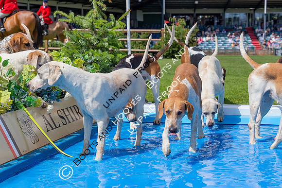 The Al Shira'aa Hickstead Derby Meeting