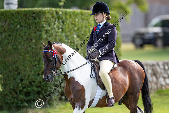 The Al Shira'aa Hickstead Derby Meeting