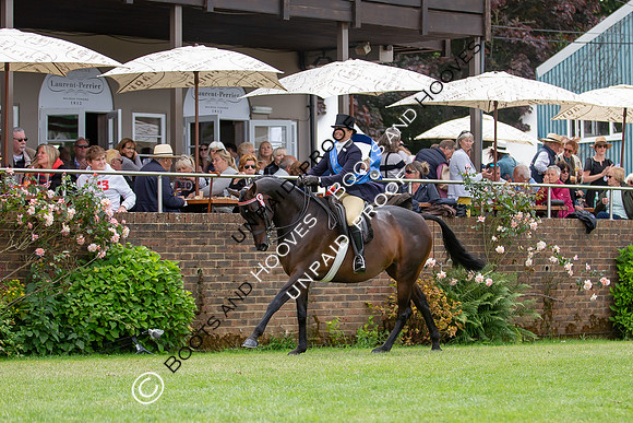 The Al Shira'aa Hickstead Derby Meeting