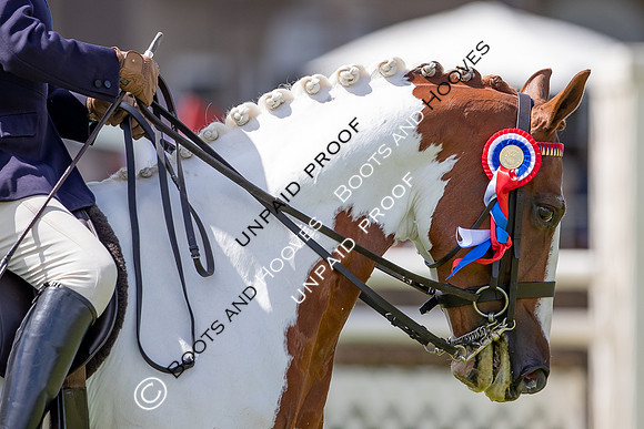 The Al Shira'aa Hickstead Derby Meeting