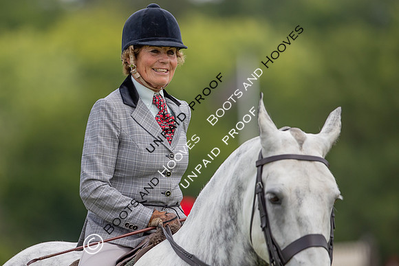 The Al Shira'aa Hickstead Derby Meeting