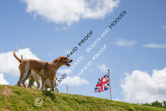The Al Shira'aa Hickstead Derby Meeting