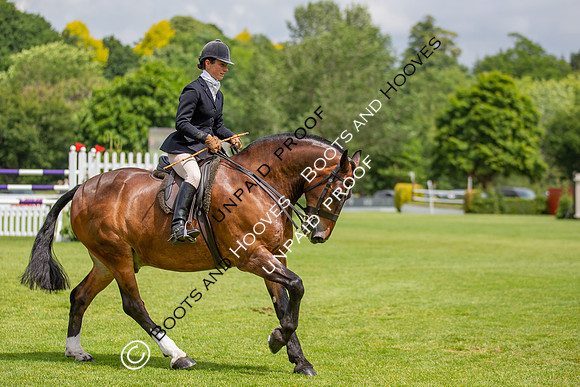 The Al Shira'aa Hickstead Derby Meeting