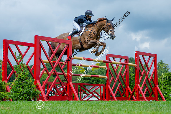 The Al Shira'aa Hickstead Derby Meeting