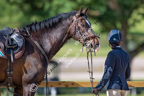 The Al Shira'aa Hickstead Derby Meeting