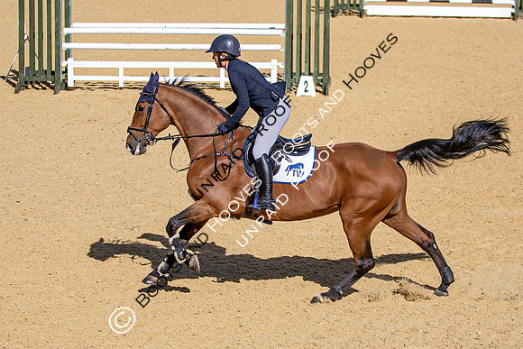 The Al Shira'aa Hickstead Derby Meeting