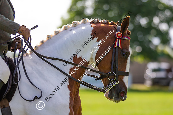 The Al Shira'aa Hickstead Derby Meeting