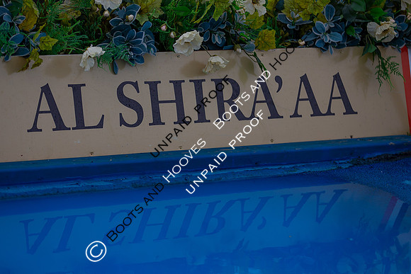 The Al Shira'aa Hickstead Derby Meeting