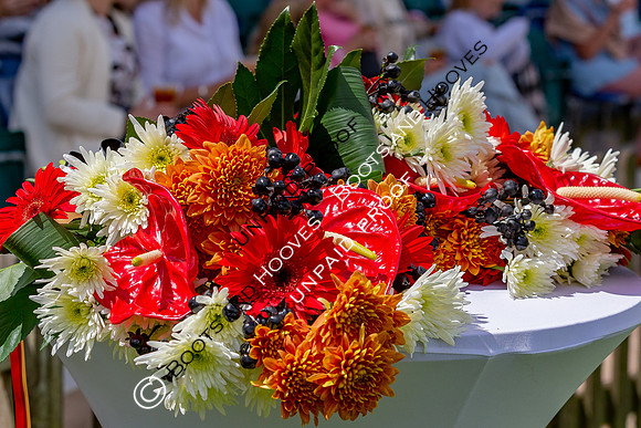 The Al Shira'aa Hickstead Derby Meeting