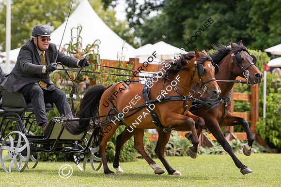 The Al Shira'aa Hickstead Derby Meeting