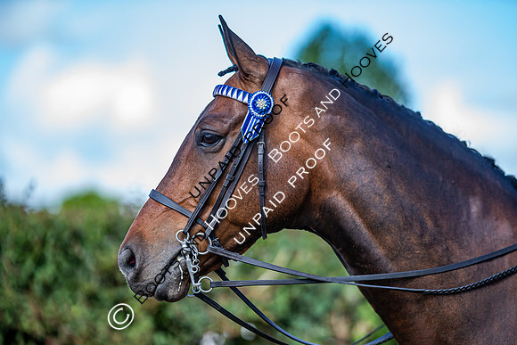The Al Shira'aa Hickstead Derby Meeting