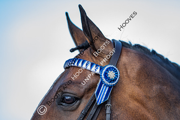 The Al Shira'aa Hickstead Derby Meeting