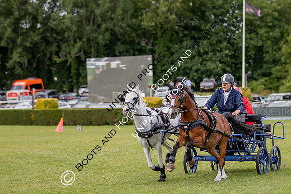 The Al Shira'aa Hickstead Derby Meeting