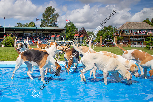 The Al Shira'aa Hickstead Derby Meeting