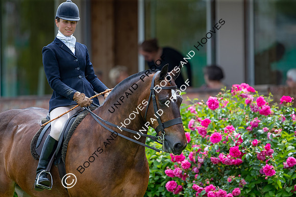 The Al Shira'aa Hickstead Derby Meeting