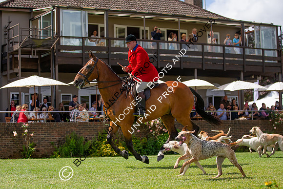 The Al Shira'aa Hickstead Derby Meeting