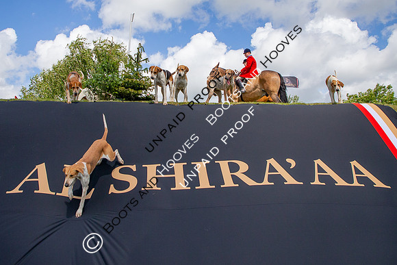 The Al Shira'aa Hickstead Derby Meeting