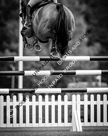 The Al Shira'aa Hickstead Derby Meeting