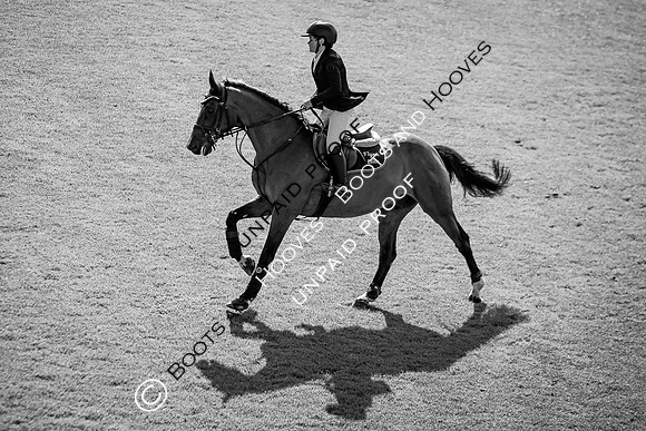 The Al Shira'aa Hickstead Derby Meeting