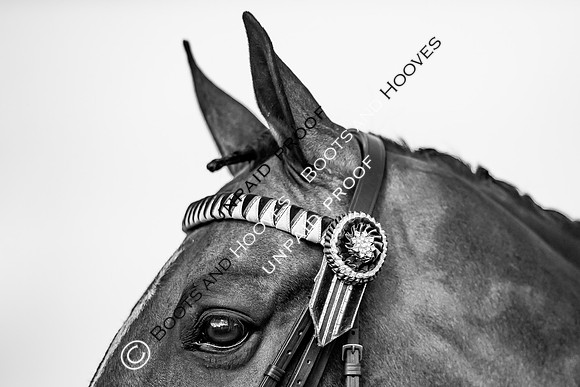 The Al Shira'aa Hickstead Derby Meeting