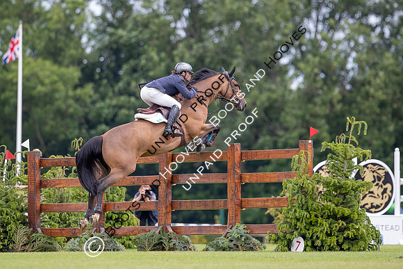 The Al Shira'aa Hickstead Derby Meeting