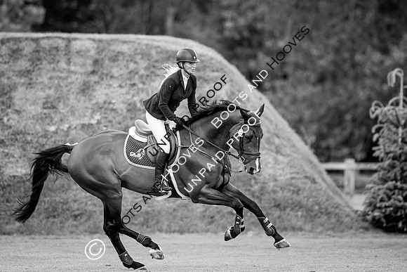 The Al Shira'aa Hickstead Derby Meeting