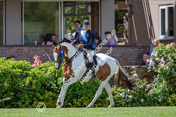 The Al Shira'aa Hickstead Derby Meeting