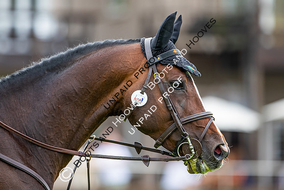 The Al Shira'aa Hickstead Derby Meeting