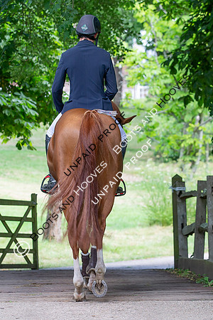 The Al Shira'aa Hickstead Derby Meeting